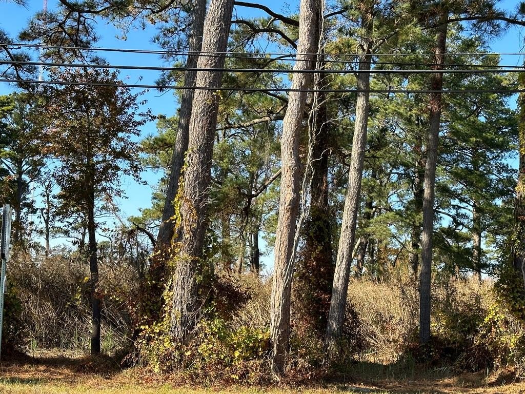 Other - 244A1 RIDGE RD, CHINCOTEAGUE, VA