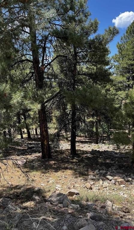 Other - 144 Woodridge Circle, Pagosa Springs, CO