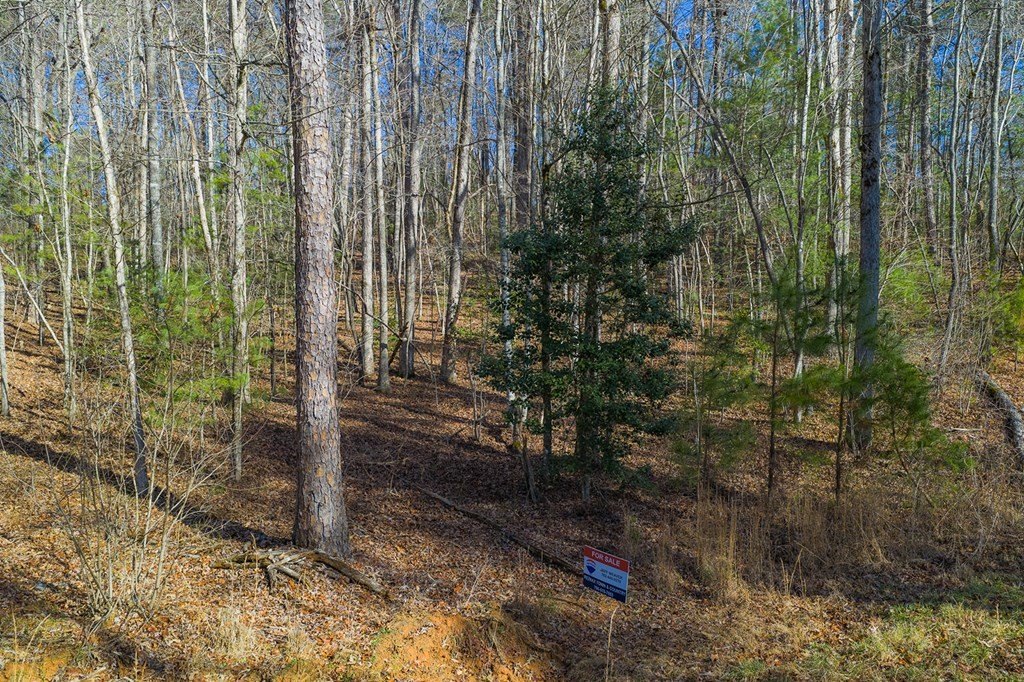 Other - Lot 117 Jumper Drive, Ellijay, GA