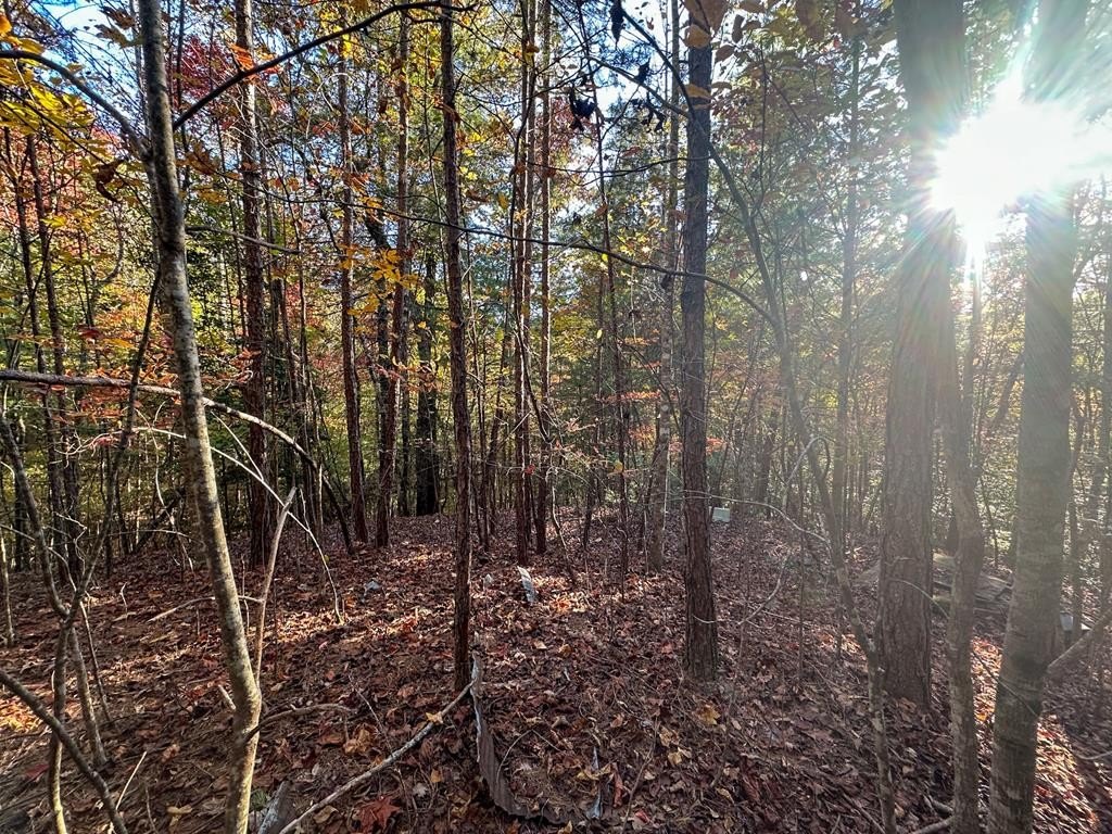Other - 0 Dones Dr, MURPHY, NC