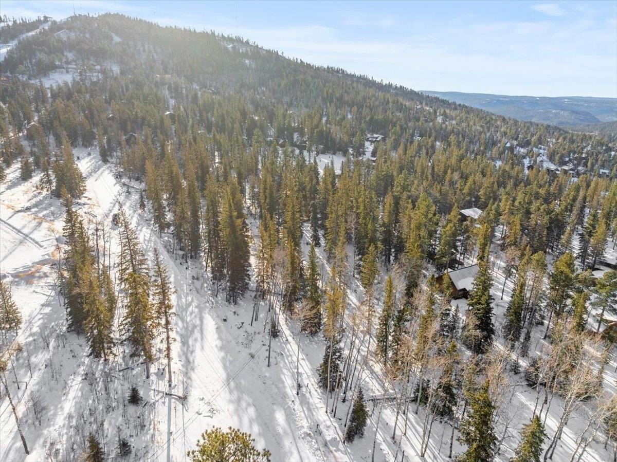 Other - Lost Camp Trail lot: 1 Block 1, Lead, SD