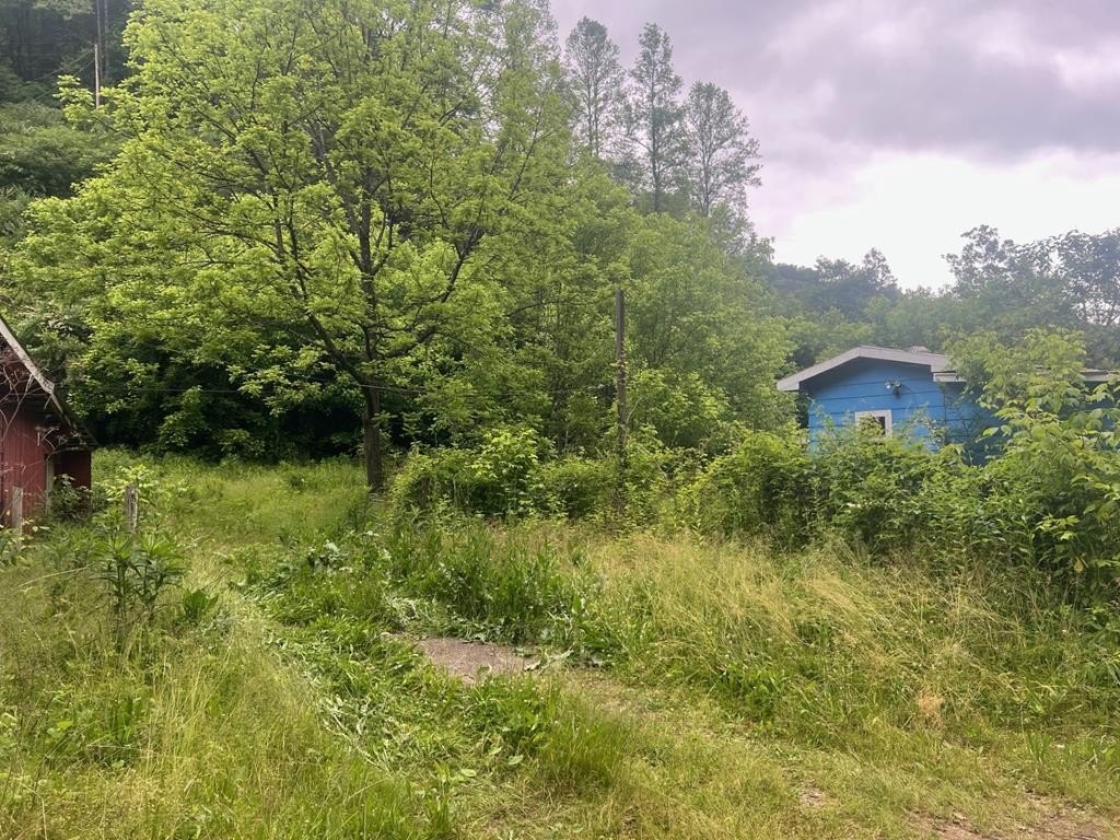 Other - 918 Spurlock Fork, Dana, KY