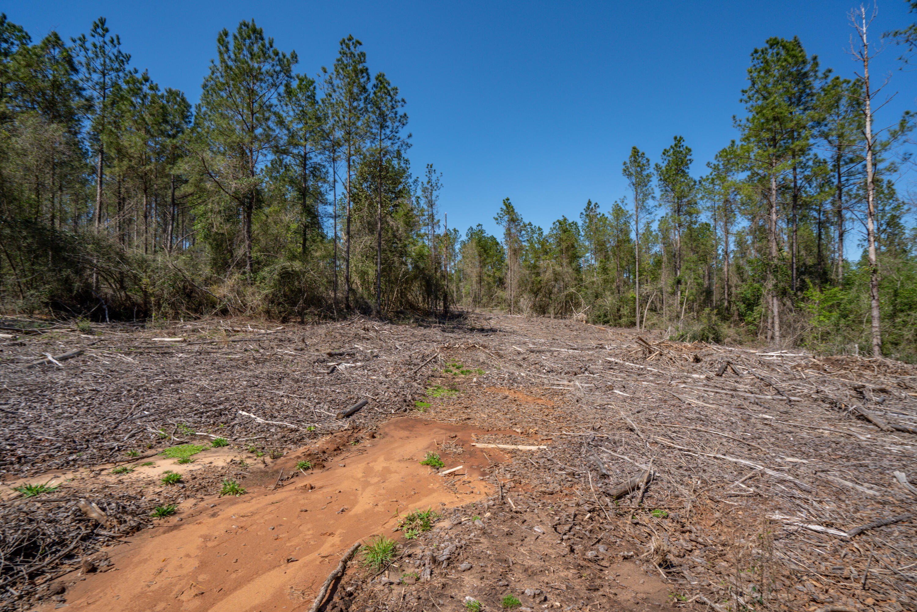 Single Family - Lot 4 Timothy Rd., Ellisville, MS