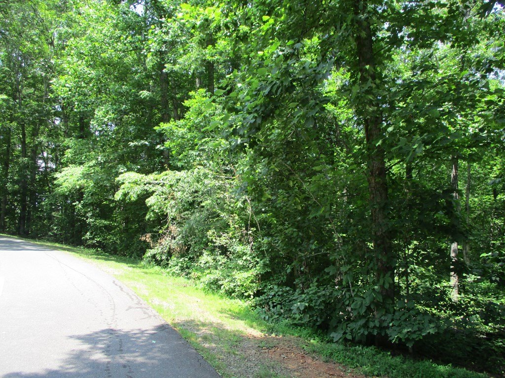 Other - 74A Licklog Ridge, HAYESVILLE, NC