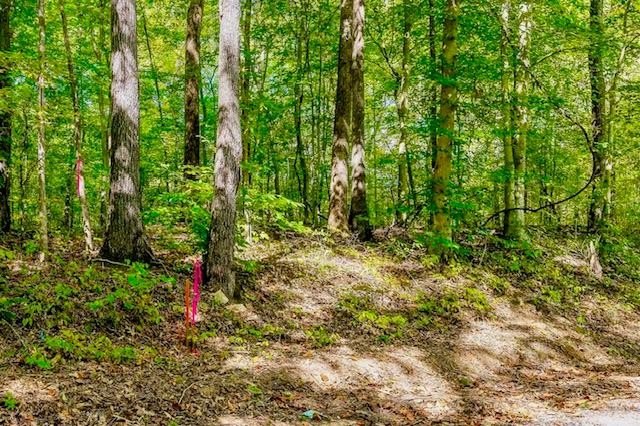 Other - Bolestown Loop Lot 3, ALPINE, TN