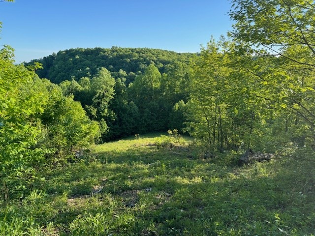 Other - 100 Cabin Ridge Trail lot: 5, Fancy Gap, VA