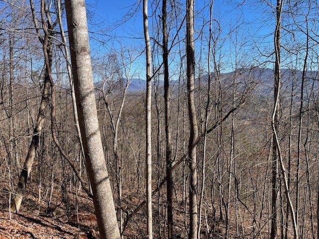 Other - Lot 29 Hidden Summit Road, Hiawassee, GA