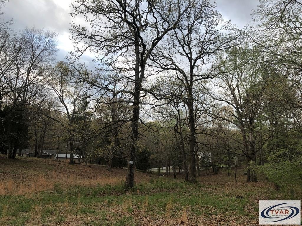 Single Family - Russwood, SPRINGVILLE, TN