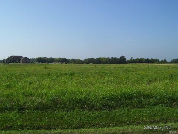 Other - 4122 KNAB ROAD Drive, Smithton, IL
