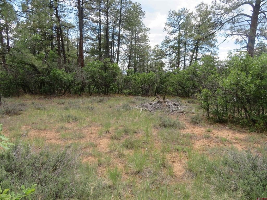 Single Family - 710 Doc Adams Road, Pagosa Springs, CO