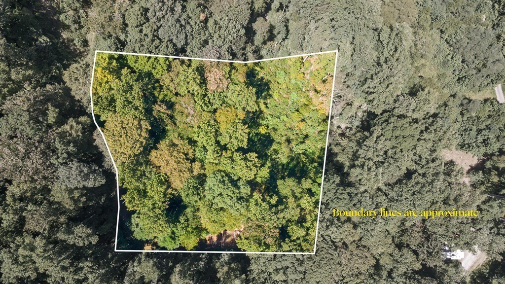Other - River Road Trace lot: 10, Franklin, NC