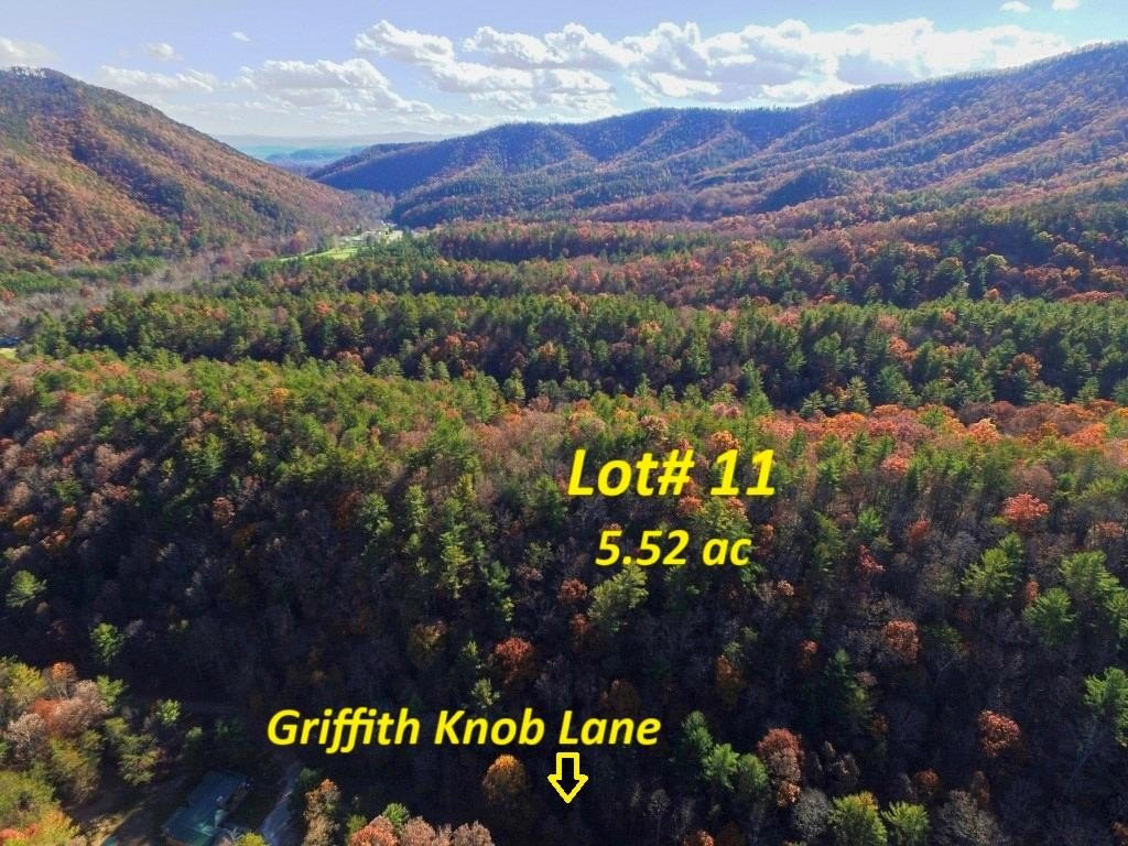 Other - Griffith Knob Lane lot: 11, Wytheville, VA