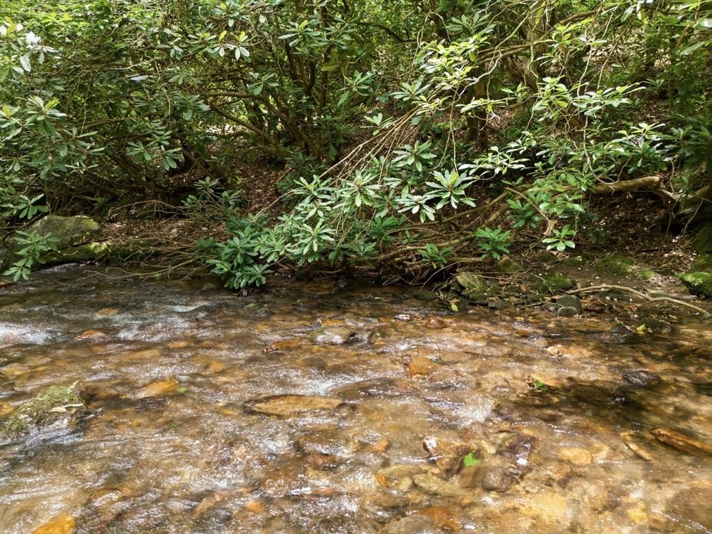 Other - 84 Pounding Mill Creek, Hayesville, NC
