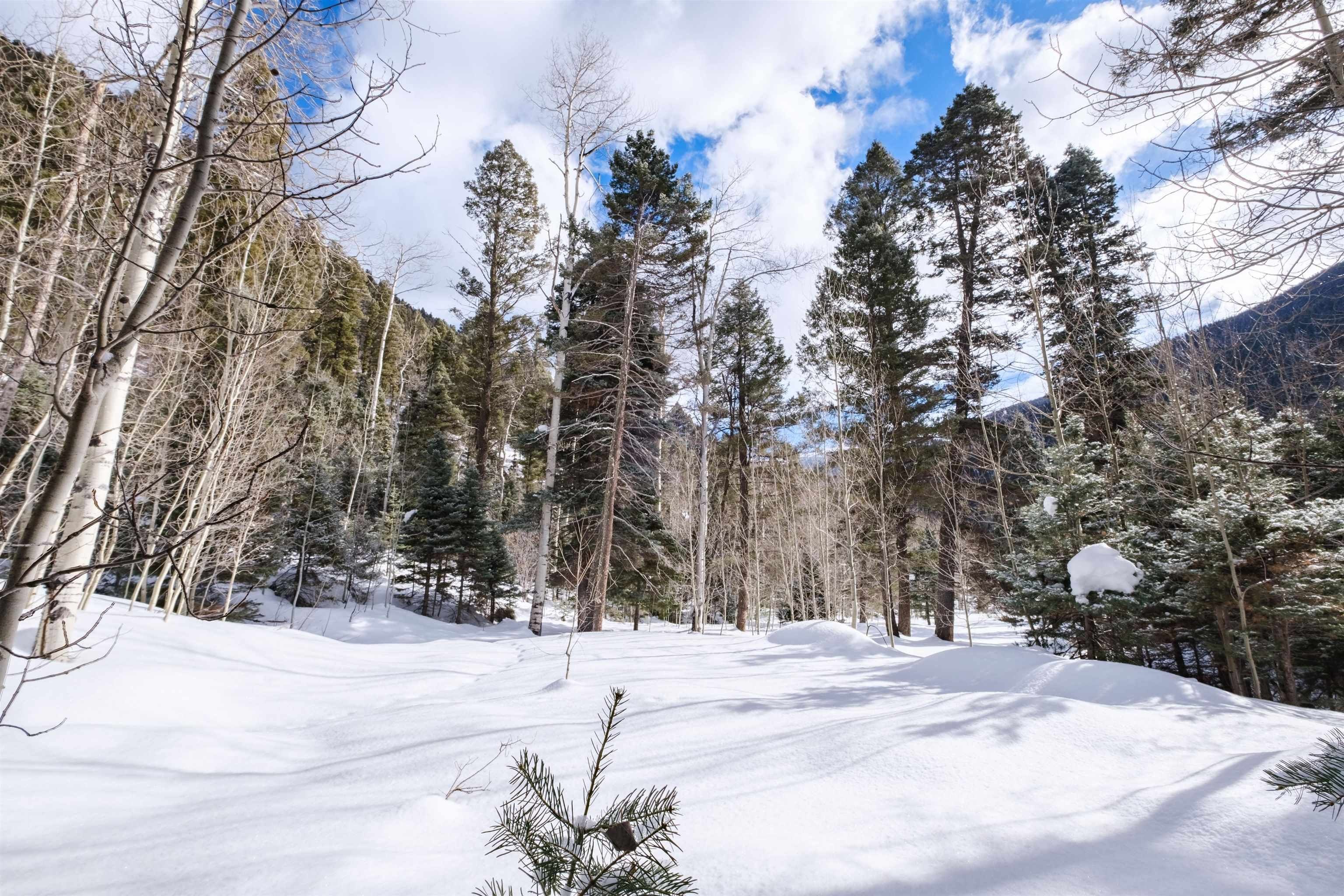 Other - 1320 State Hwy 150, Taos Ski Valley, NM