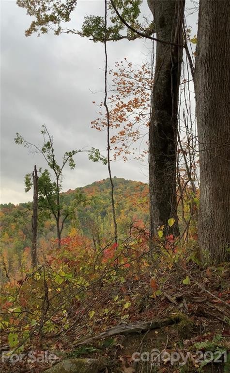 Other - 375 Buck Drive, Hot Springs, NC