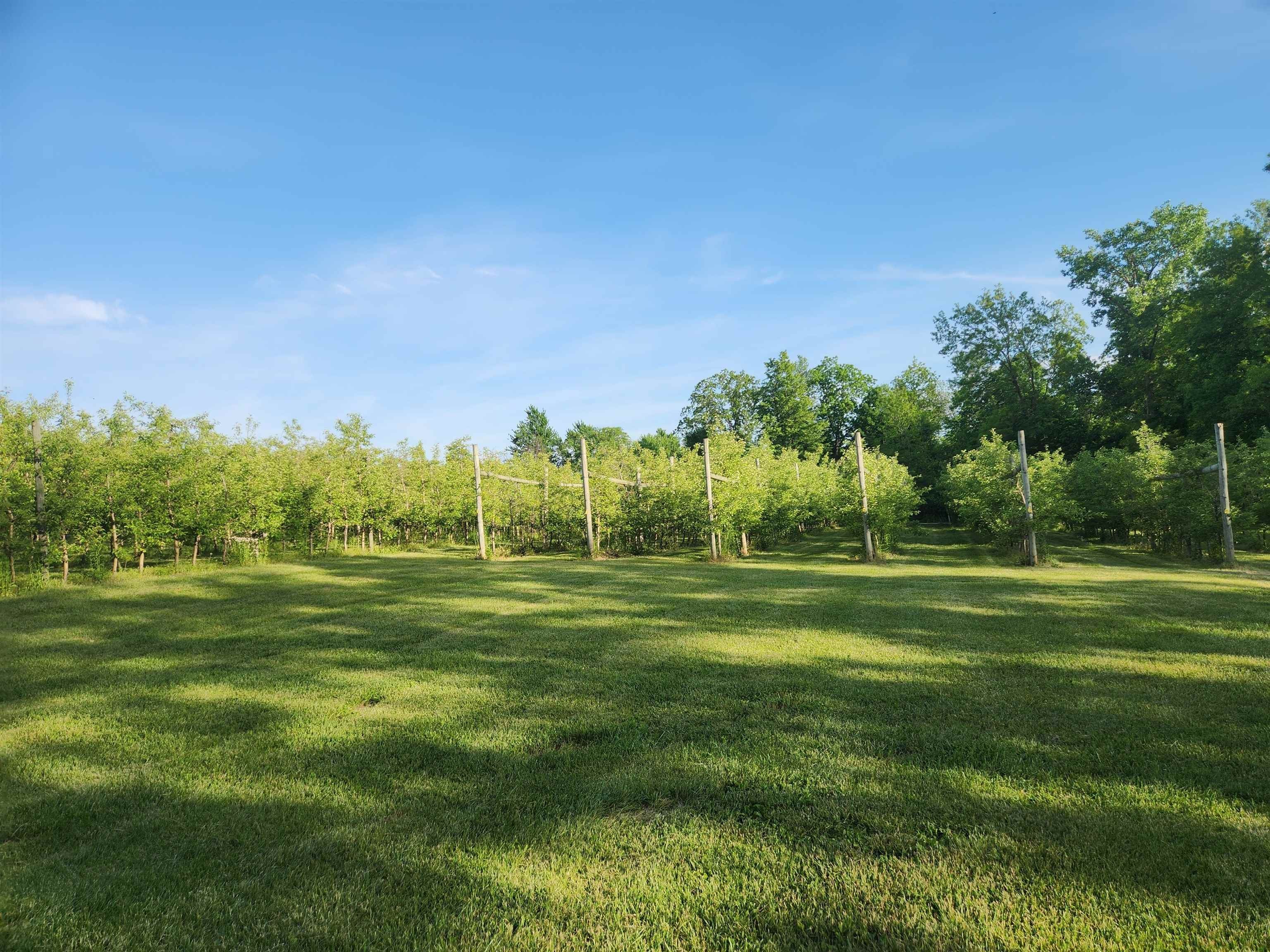 Other - 16318 E County Road V, Hillsboro, WI