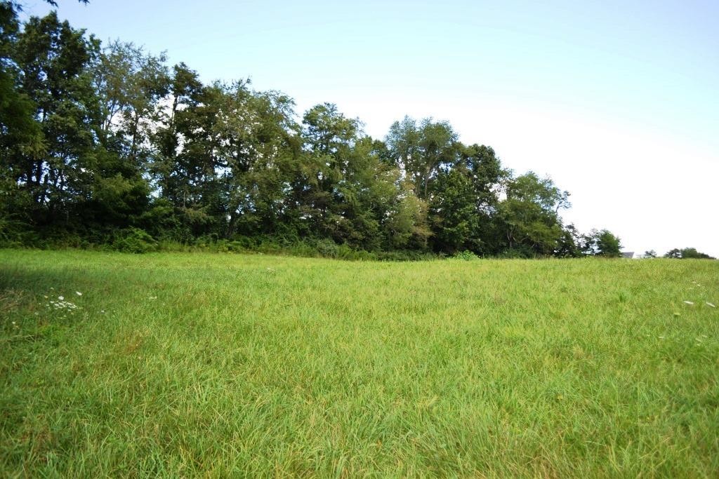Other - S Petunia Road lot: 19, Wytheville, VA