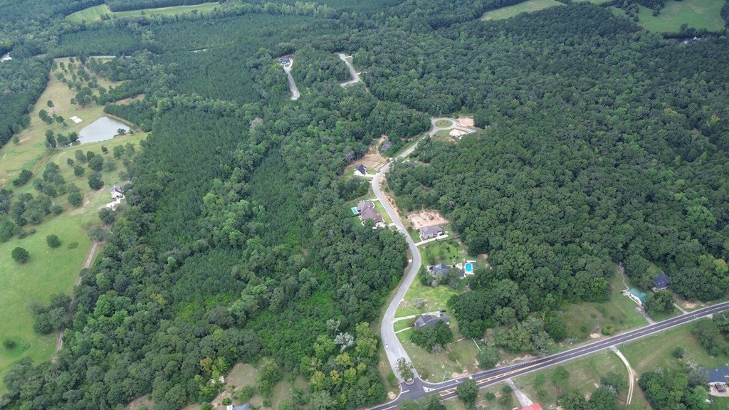 Single Family - 0 Pierce's Station 49C, Ozark, AL