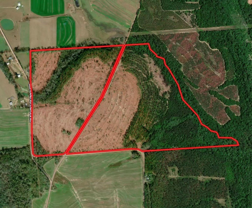 Single Family - 189 Acres Highland Street, Malvern, AL
