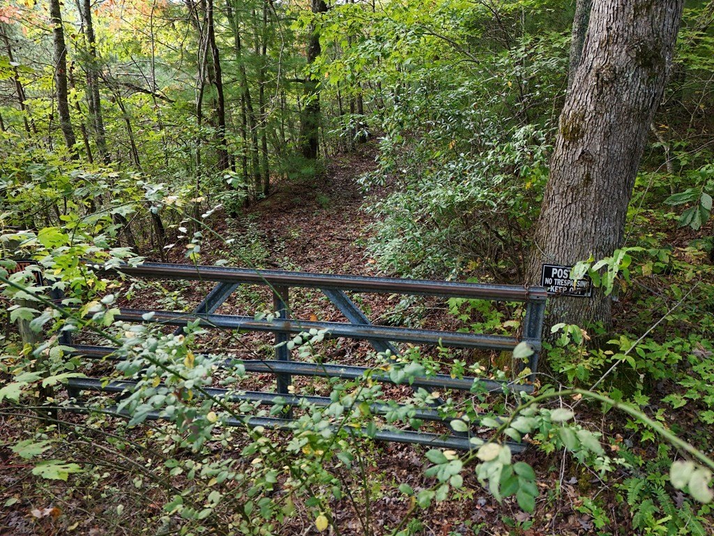 Other - Mill Creek, Hiawassee, GA
