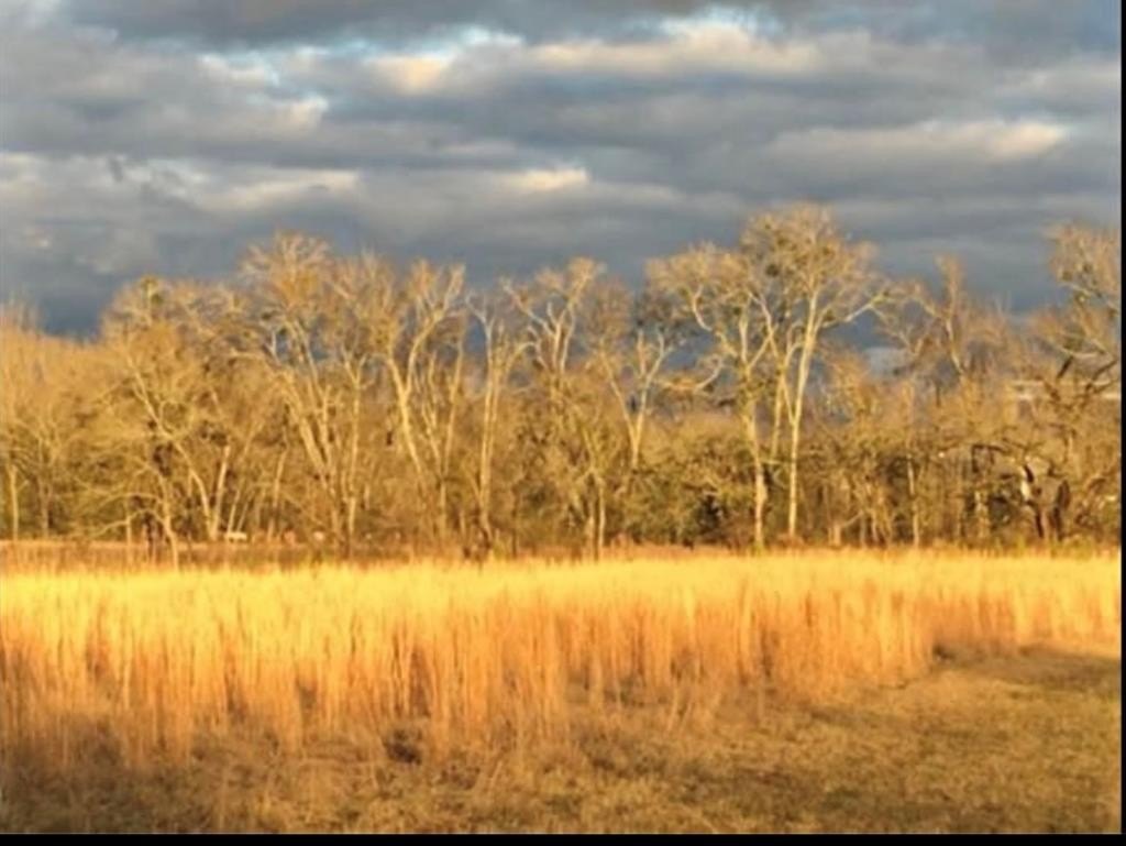 Other - 230 Pineywoods Rd, N/A, MS