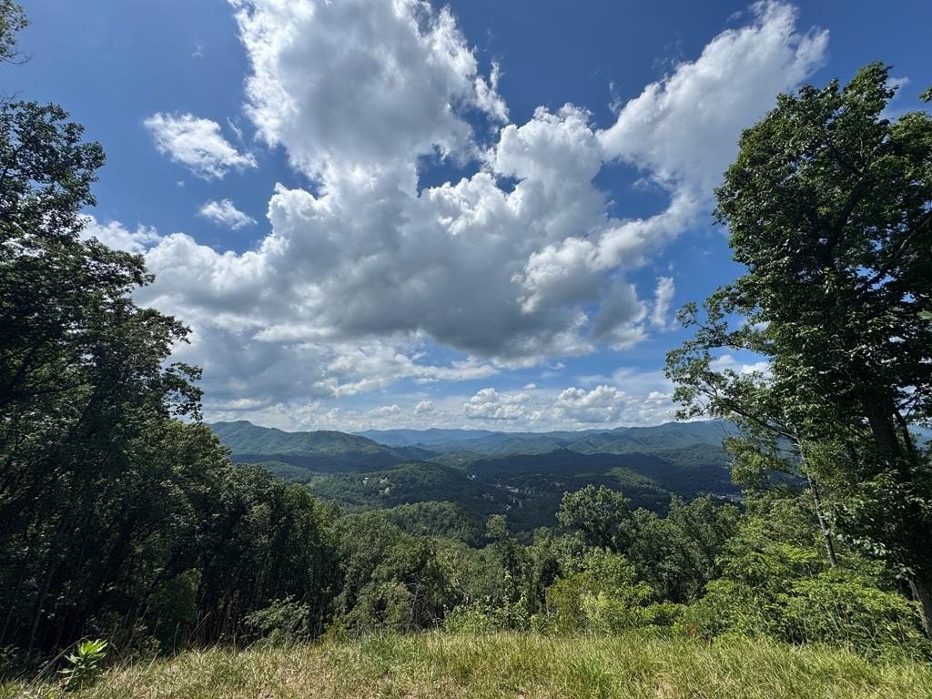 Other - Breedlove Rd, Bryson City, NC