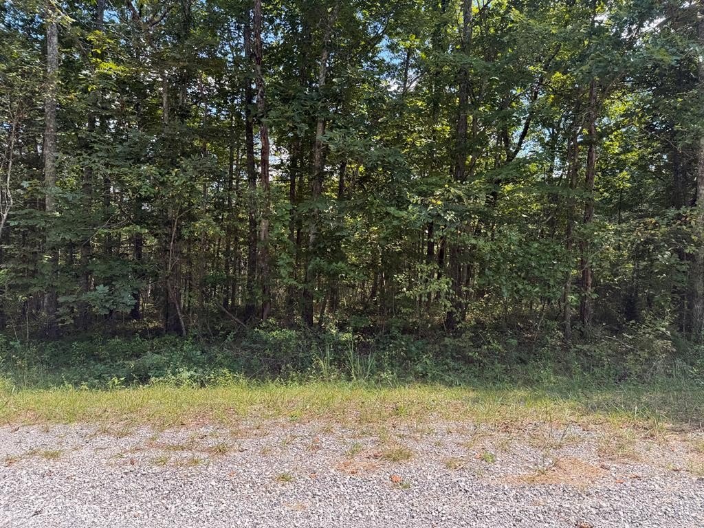 Other - 4021 Tonto Dr, CROSSVILLE, TN