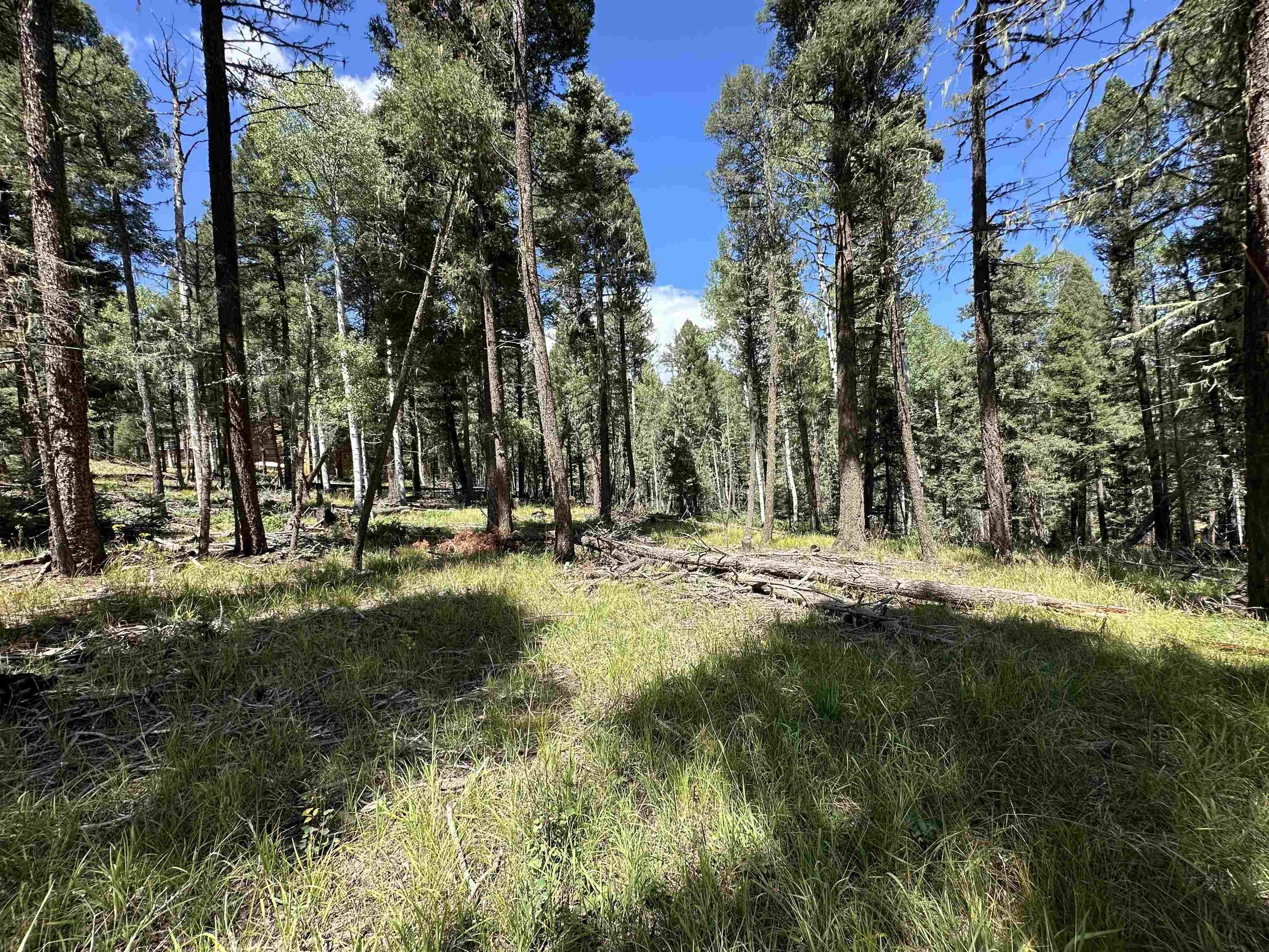 Other - Alpine Lake Terrace lot: 10, Angel Fire, NM