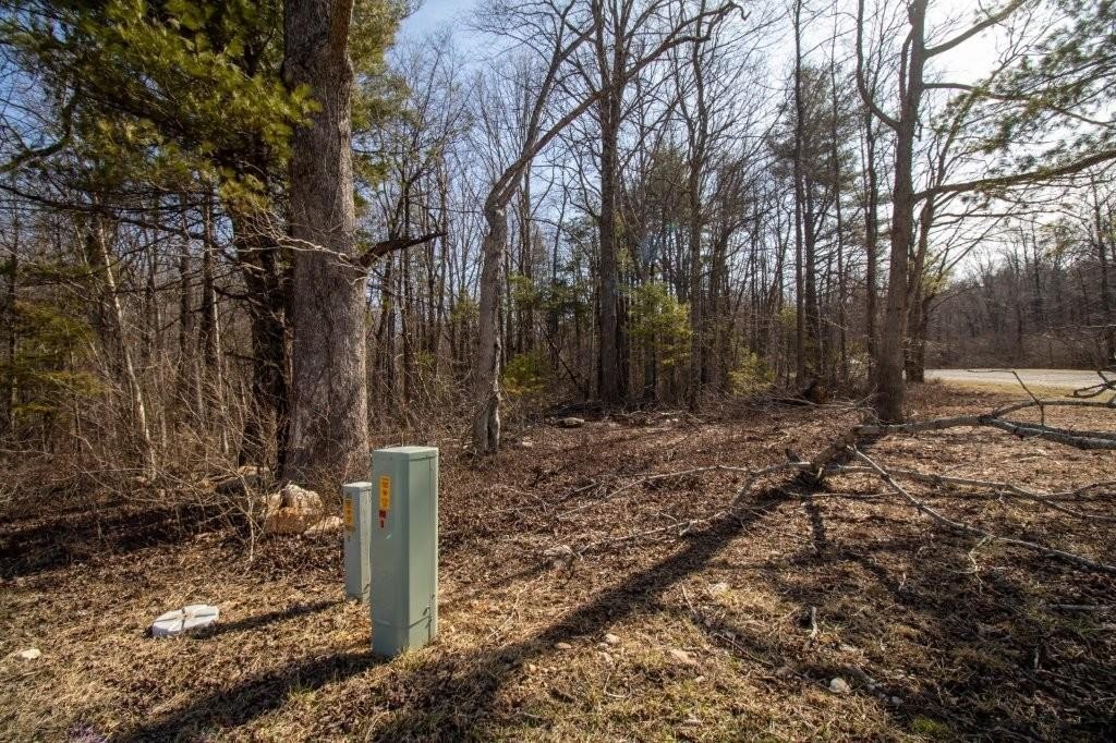 Other - Spring Lake Drive lot: 30, Copper Hill, VA