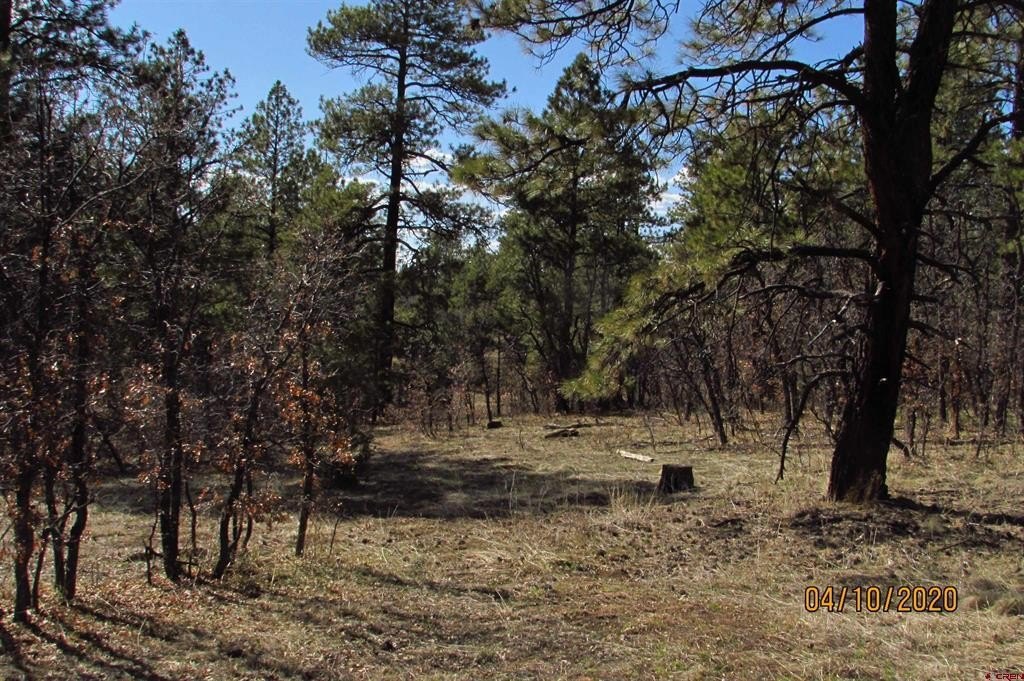Single Family - 2399 Bull Elk Place, Pagosa Springs, CO