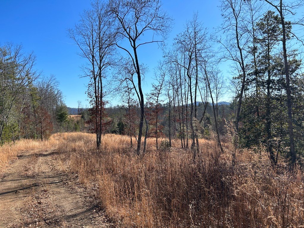 Other - 426 Gardenwood Lane, Murphy, NC