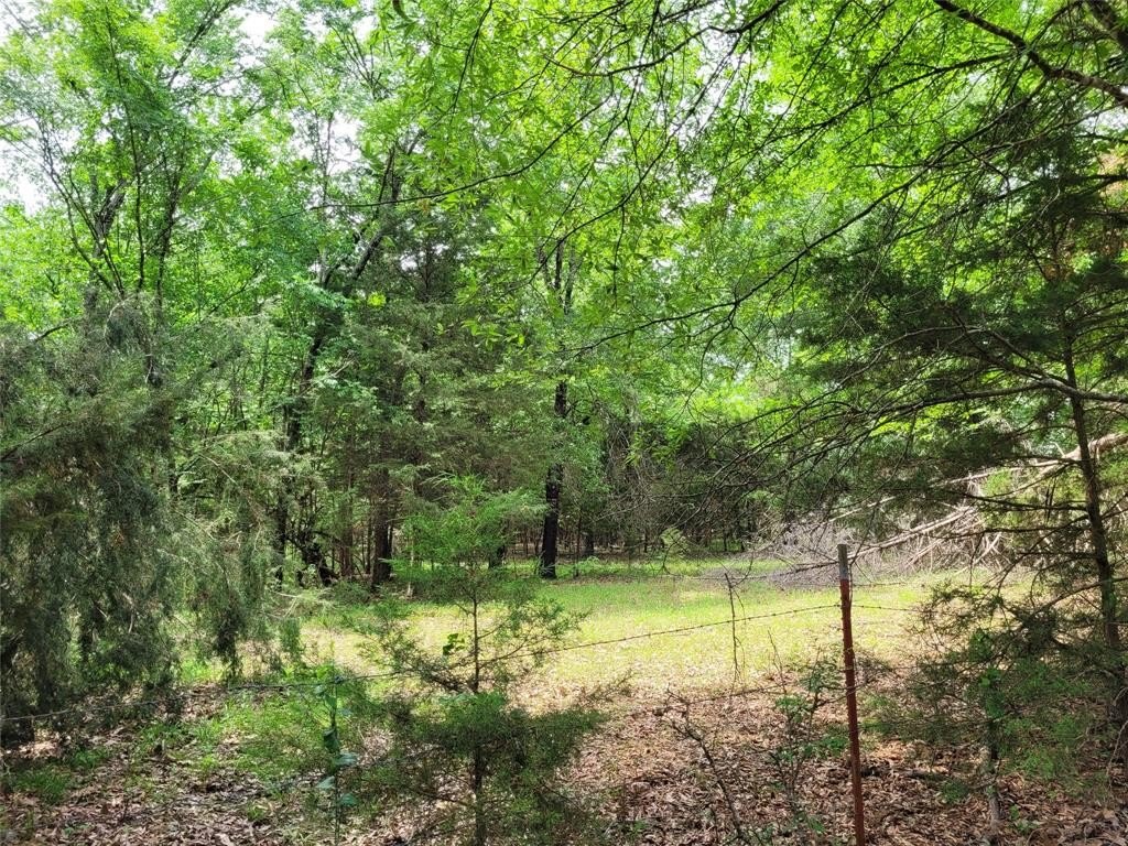 Plots and Land - Tbd CR 3145, Clarksville, TX