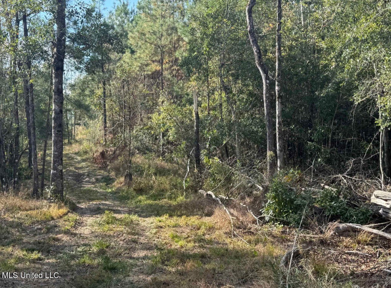 Other - J Bailey Road, Wiggins, MS