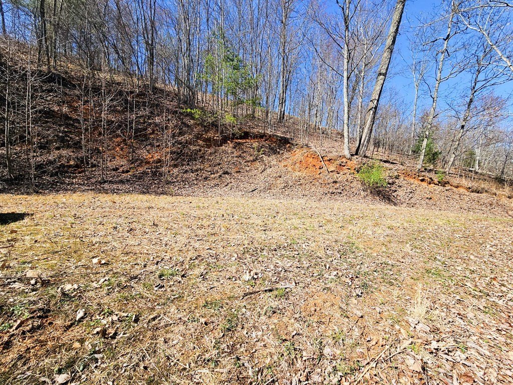 Other - Lot 39 Merlin Trail/Warbler Road, Murphy, NC