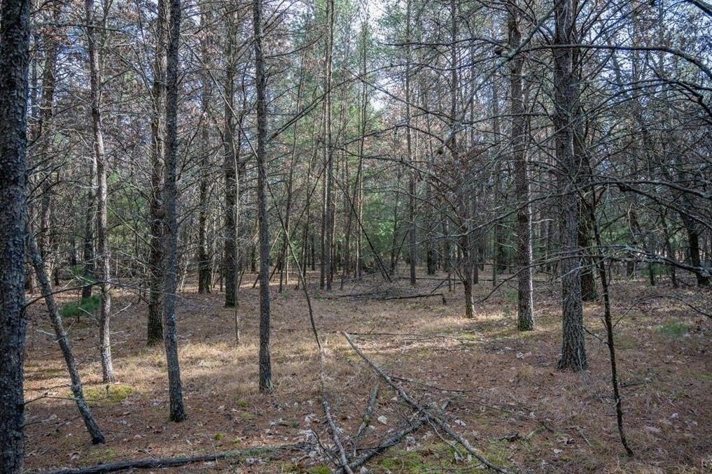 Other - Meadow Drive lot: 3, New Lisbon, WI