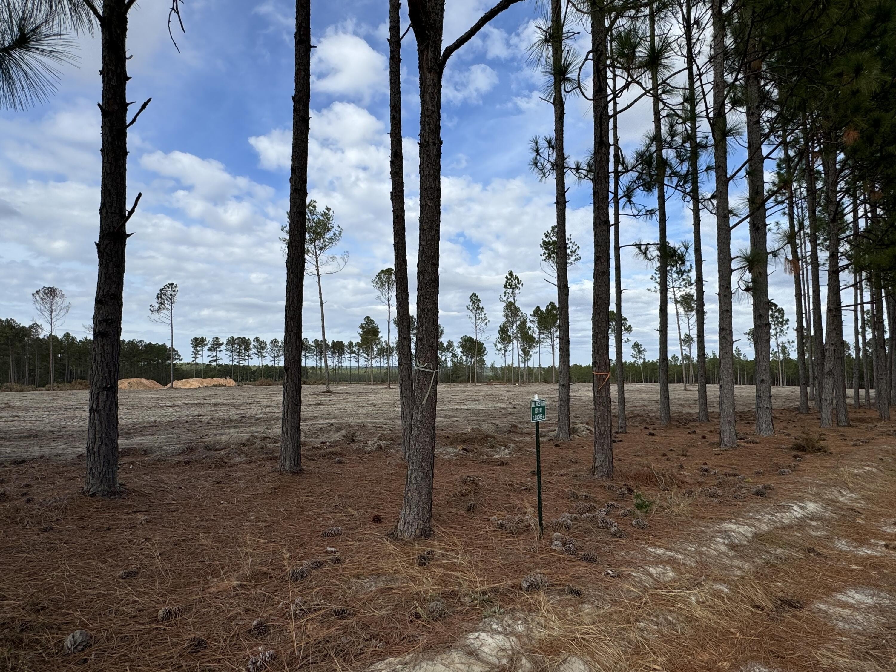 Other - 1421/Lot13 Cooks Bridge Road, Aiken, SC