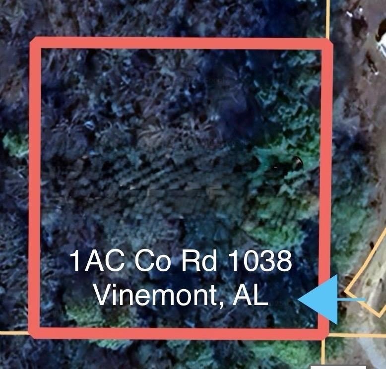 Other - 0 Co Rd 1038, Vinemont, AL