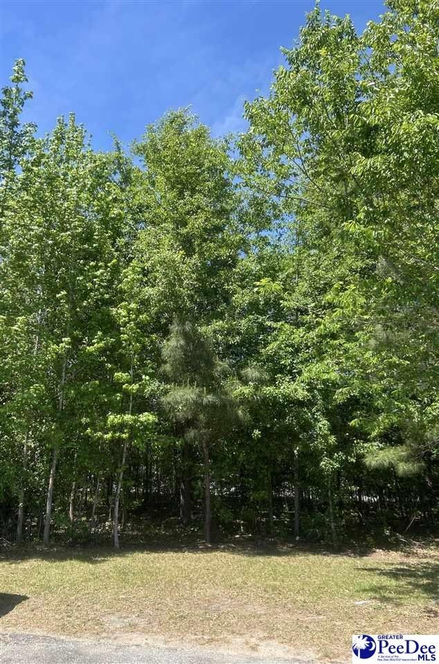 Other - 2516 E Highway 76 (a portion of), Marion, SC