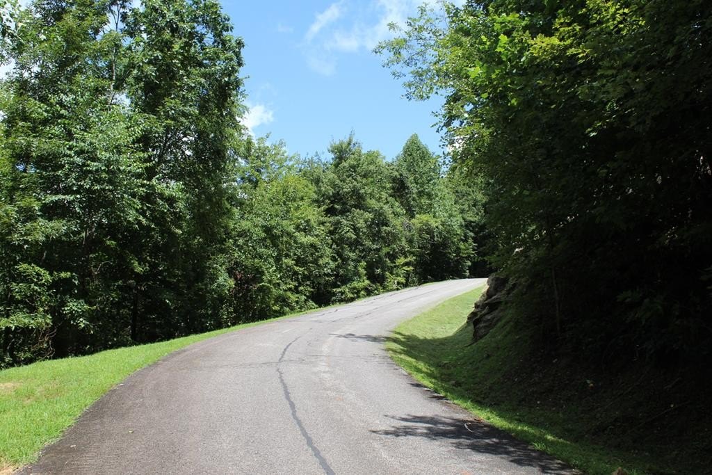 Other - Lot 62 Dan Knob Overlook, Hayesville, NC