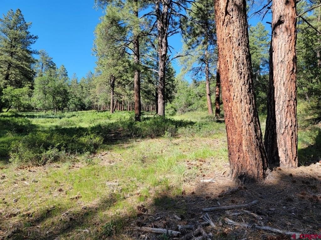 Single Family - X Catchpole Drive, Pagosa Springs, CO