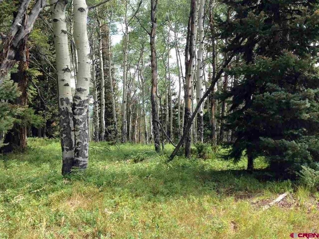 Other - 200 Crest Drive, Cimarron, CO