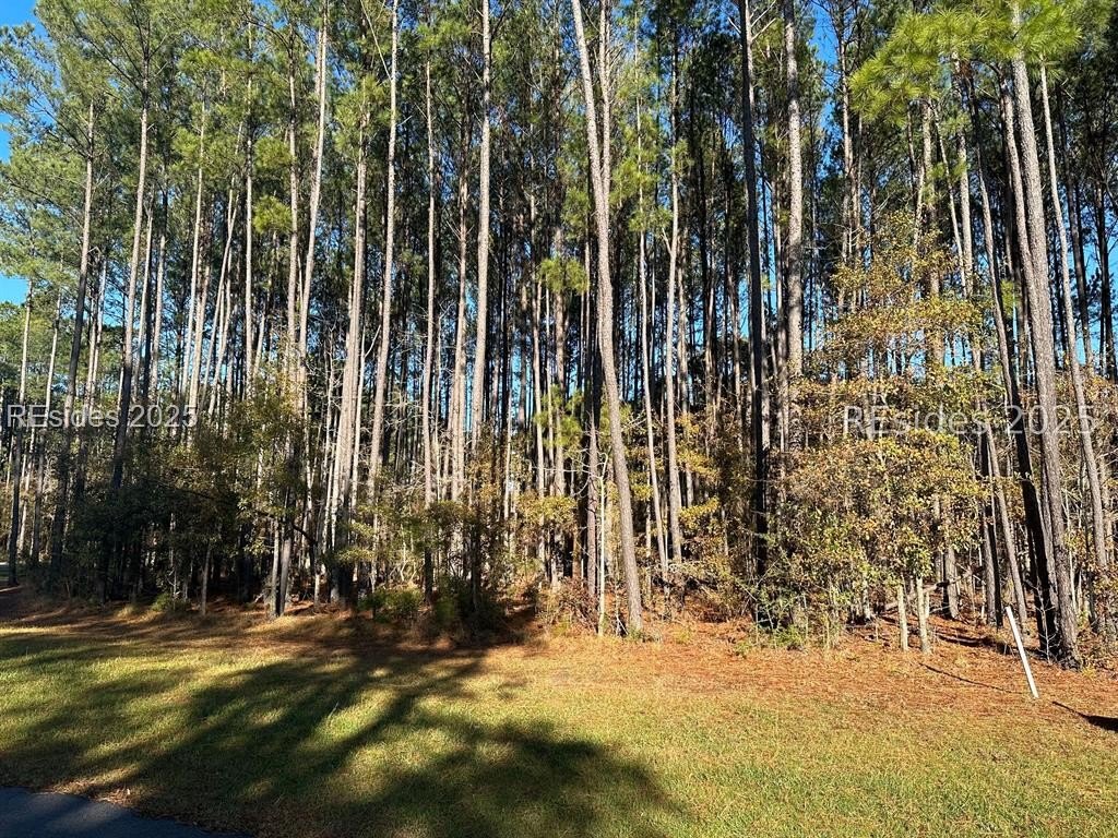 Other - 803 Somerset Drive, Yemassee, SC