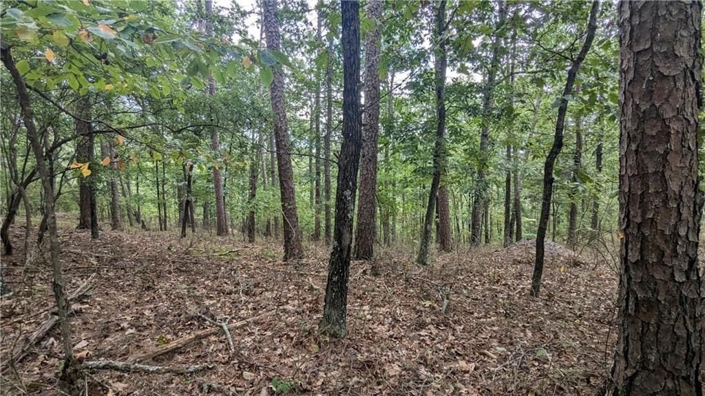 Other - 278 Adair Drive NE, Ranger, GA