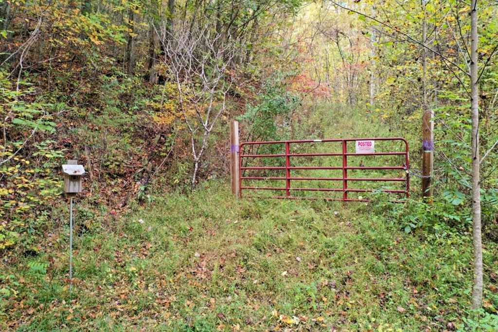 Other - VL63 Mtn Forest Estates lot: 63, Sylva, NC