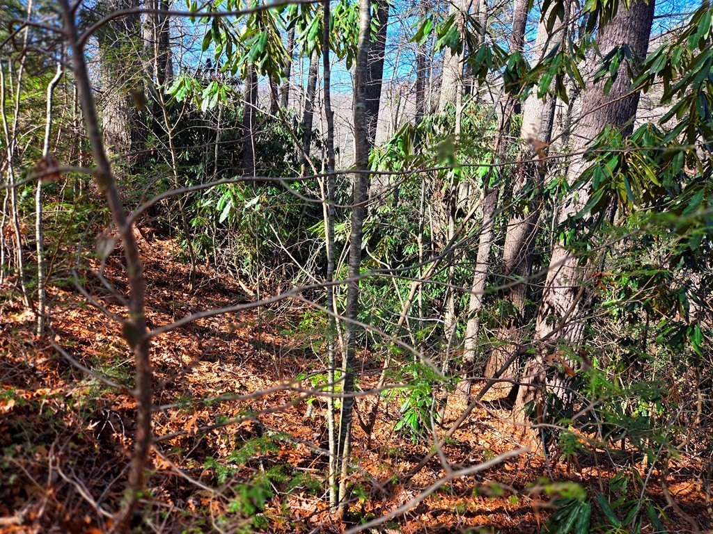 Other - 115 Fragrant Pine Dr lot: 105, Waynesville, NC
