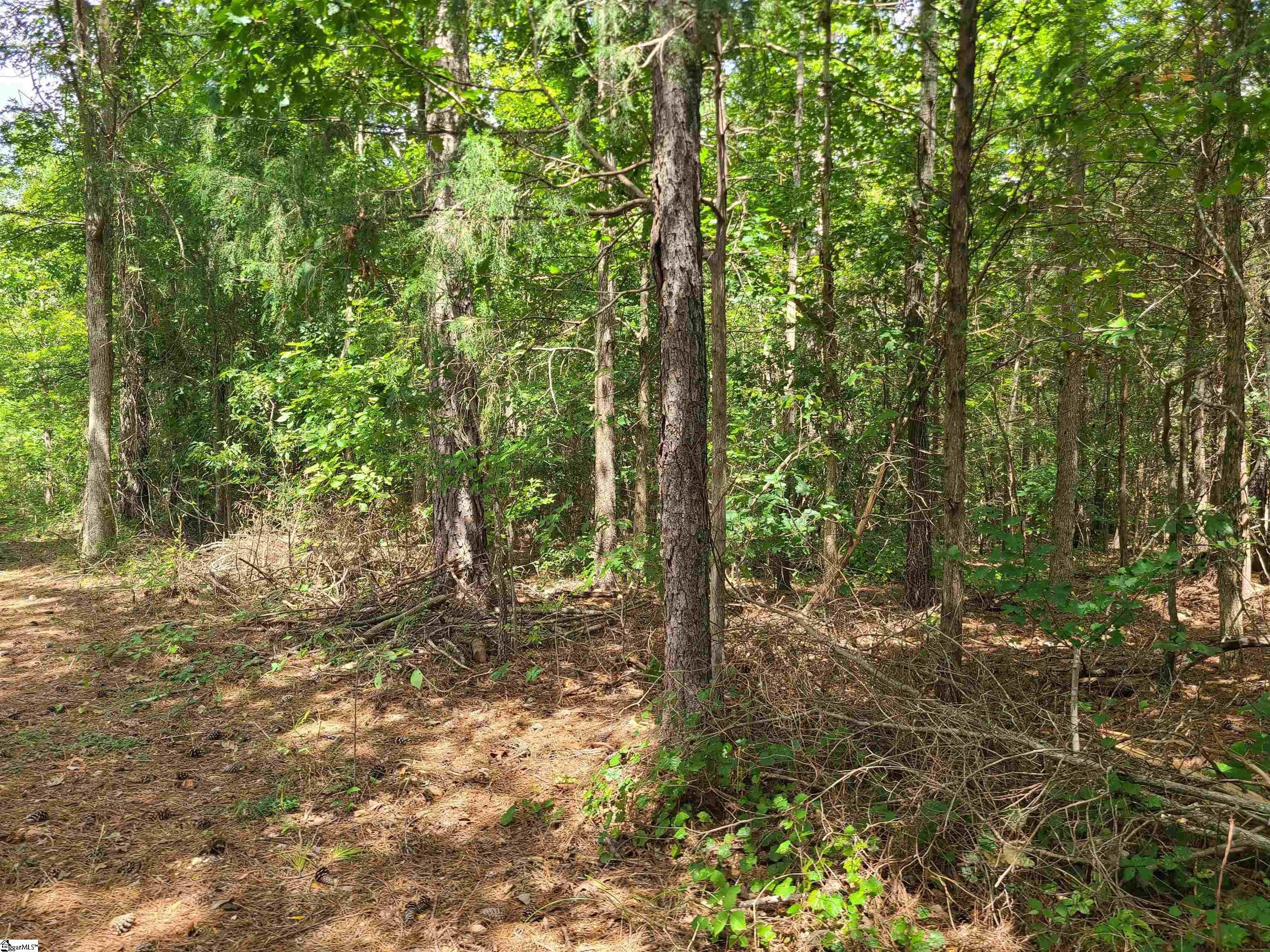 Other - Deer Valley Road, Waterloo, SC