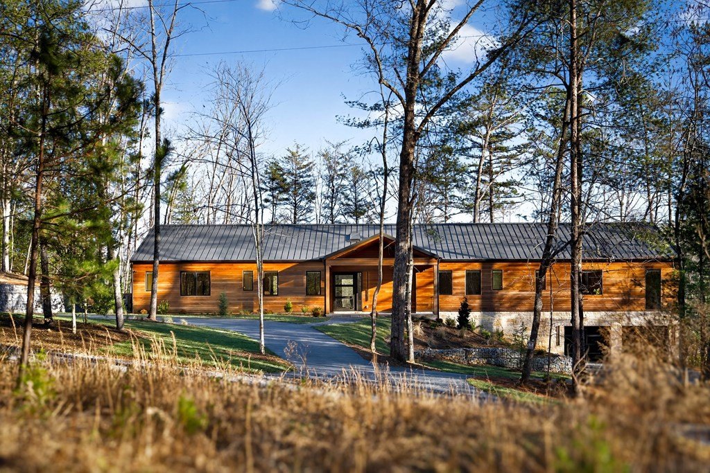 Single Family 5BR 6BA - 160 Black Ankle Drive, Cherry Log, GA