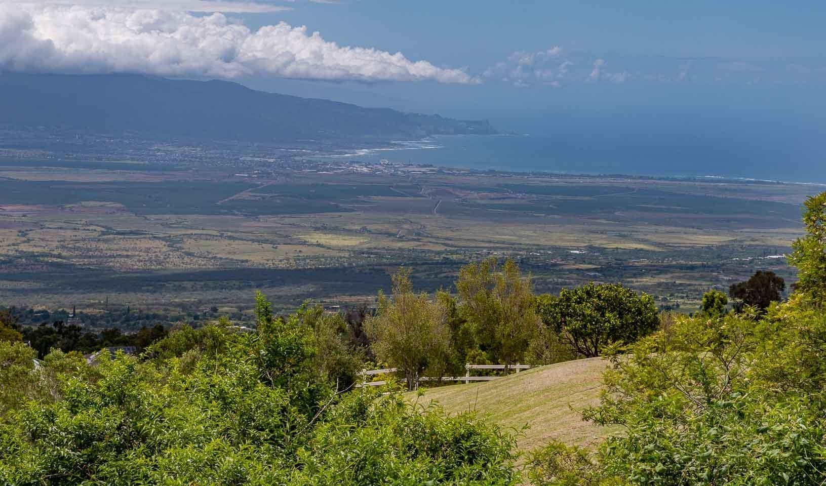 Other 2BR 1BA - 20 Kuulani Pl, Kula, HI