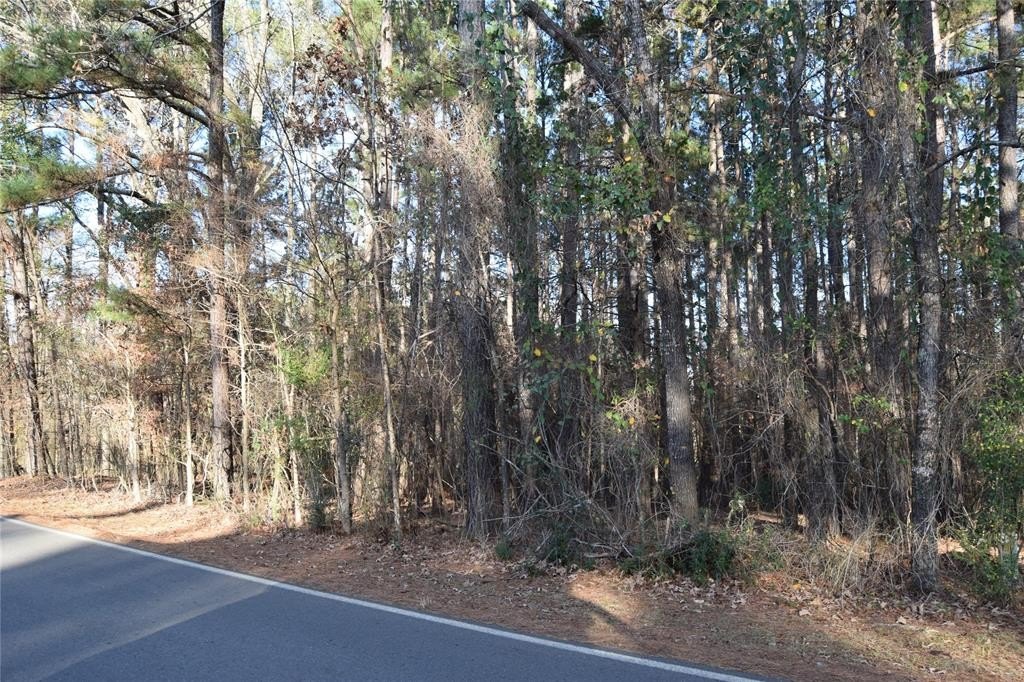 Other - Timberlane Drive lot: #41, Minden, LA