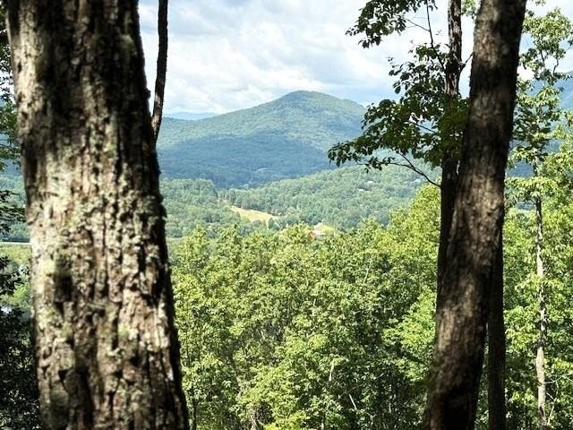 Other - 19 Buckhead Hills lot: 19, Hiawassee, GA